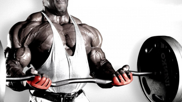 Muscular man barbell weight plate free wallpaper - medium preview image
