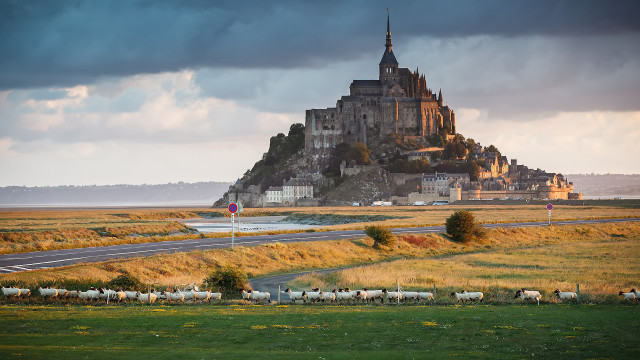 Medieval castle tower animals road free wallpaper - medium preview image