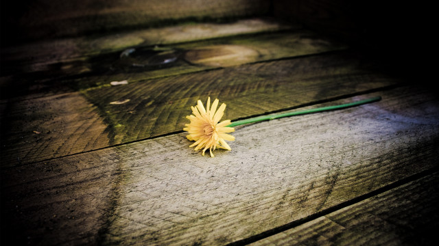Flower wooden table green handle free wallpaper - medium preview image