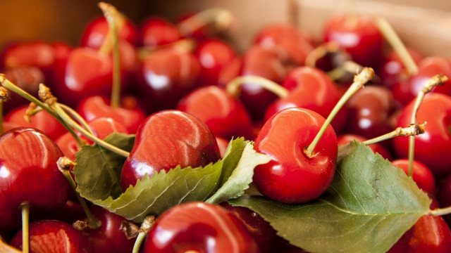 Cherries leaves bowl table blurry free wallpaper - medium preview image