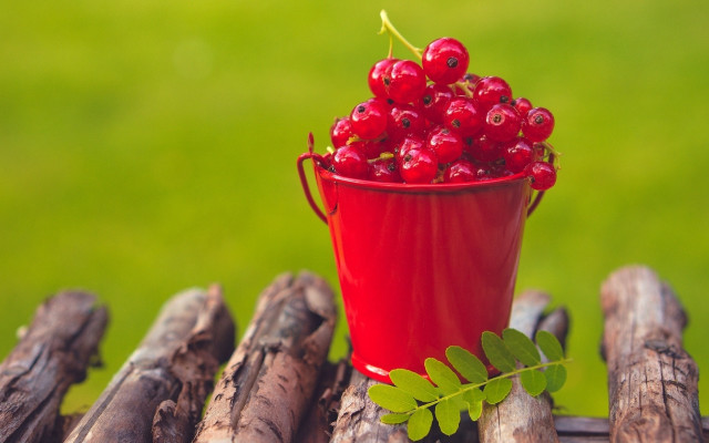 Red berries cup wooden table free wallpaper - medium preview image