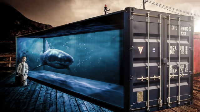Shark container hologram damienhirst urban free wallpaper - medium preview image