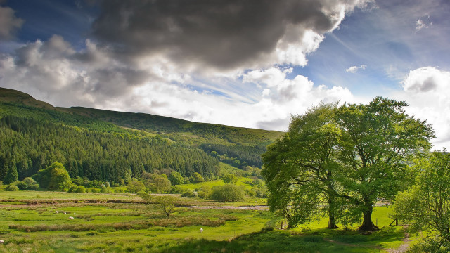 Green field tree mountain clouds free wallpaper - medium preview image