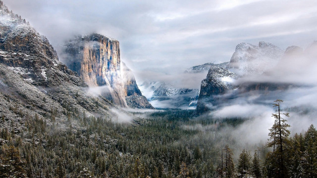 Mountain range valley forest snowy free wallpaper - medium preview image