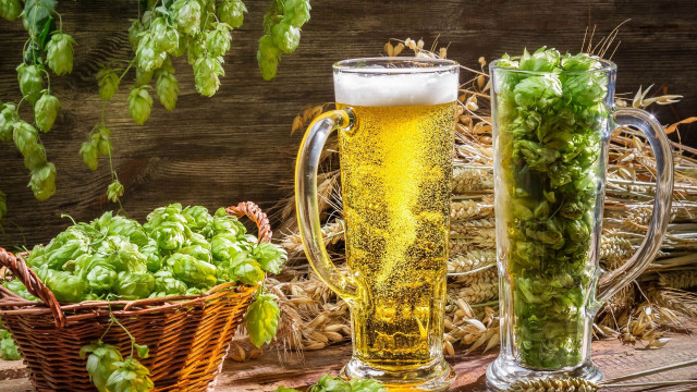 Beer hops basket plant vine free wallpaper - medium preview image