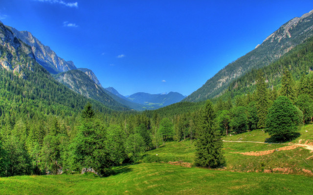 Green valley path mountains trees free wallpaper - medium preview image