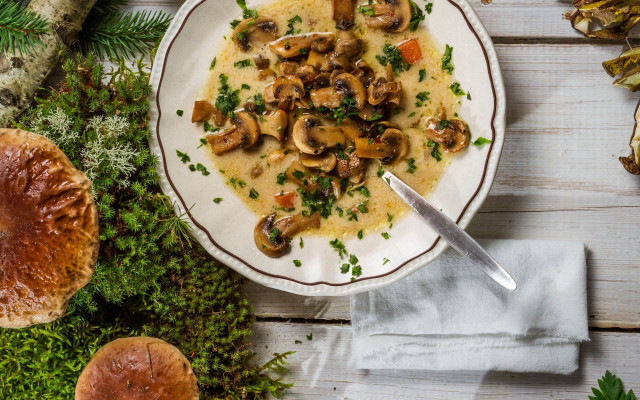 Mushroom soup bowl spoon mushrooms free wallpaper - medium preview image