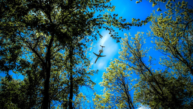 Plane sky forest autumn leaves free wallpaper - medium preview image