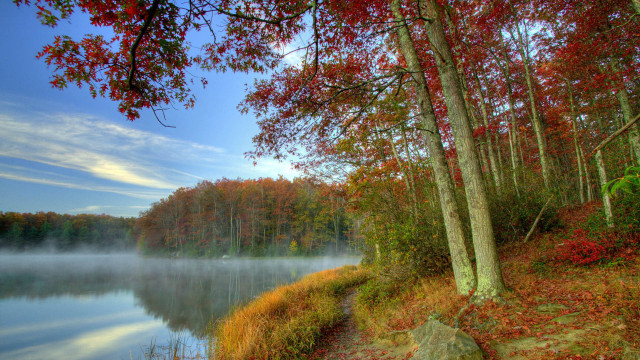 Autumn lake reflection trees rock free wallpaper - medium preview image