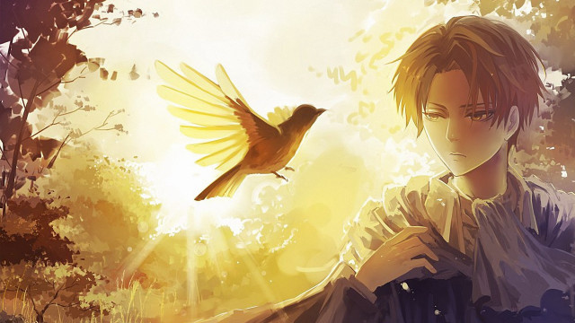 Boy bird flying tree sunset free wallpaper - medium preview image