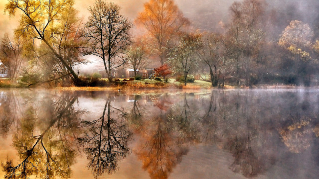 Lake foggy forest autumn reflections free wallpaper - medium preview image