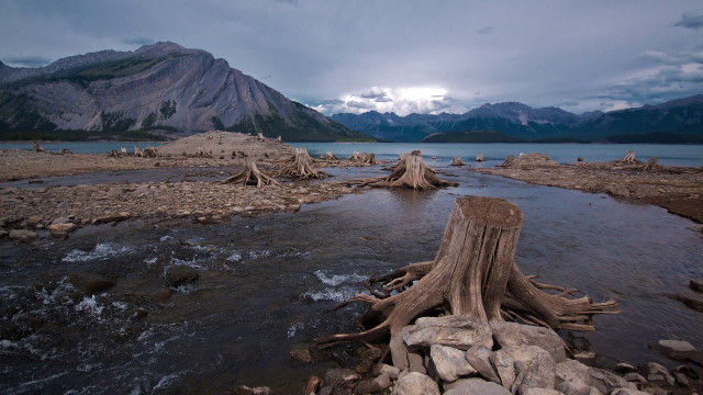 Tree stump river mountains cloudy free wallpaper - medium preview image
