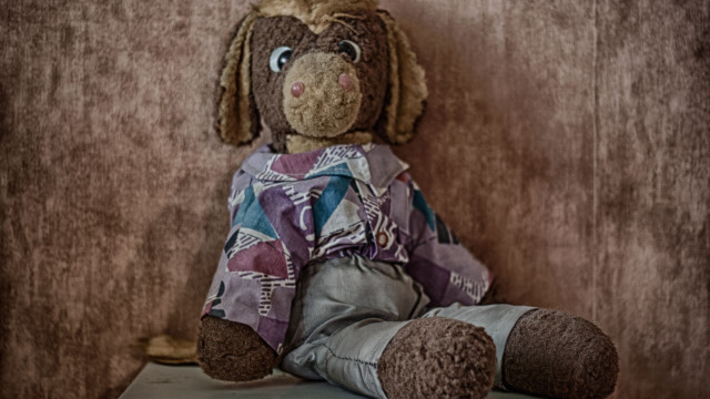 Stuffed dog shirt table wall free wallpaper - medium preview image