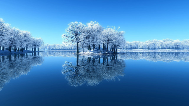 Lake trees snowy shore blue free wallpaper - medium preview image