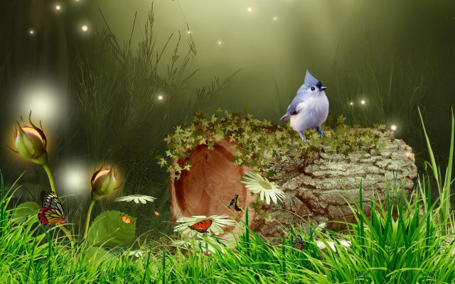 Blue bird rock grass butterflies free wallpaper - medium preview image