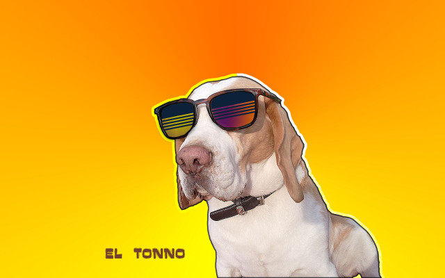 Dog sunglasses yellow background eltono free wallpaper - medium preview image