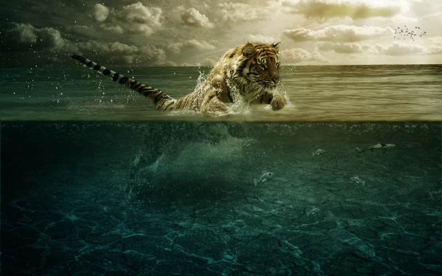 Surreal tiger ocean clouds birds free wallpaper - medium preview image