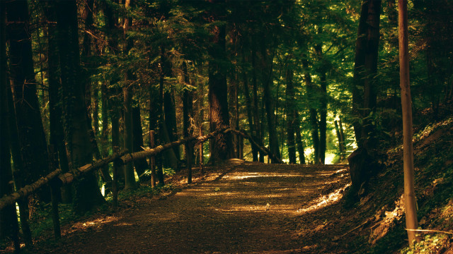 Forest path bench sign cityscape free wallpaper - medium preview image
