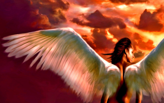 Angel wings sunset horse fire free wallpaper - medium preview image