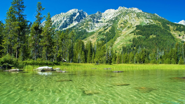 Mountain lake forest sky bush #3 free wallpaper - medium preview image