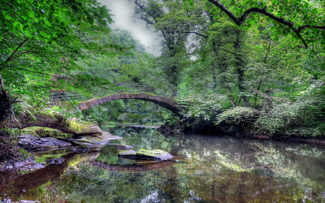 Bridge river forest boat night free wallpaper - medium preview image