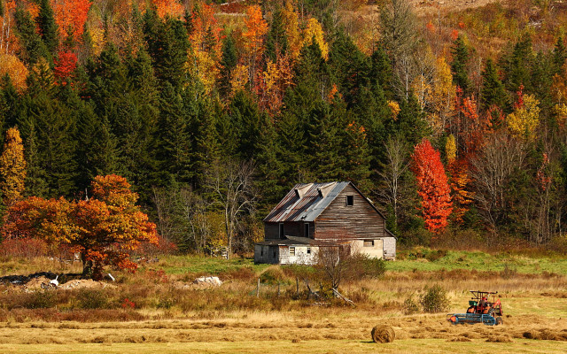 Farmhouse tractor fall leaves autumn free wallpaper - medium preview image