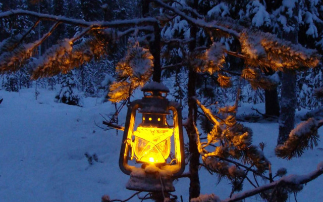 Lantern lit snowy forest night free wallpaper - medium preview image