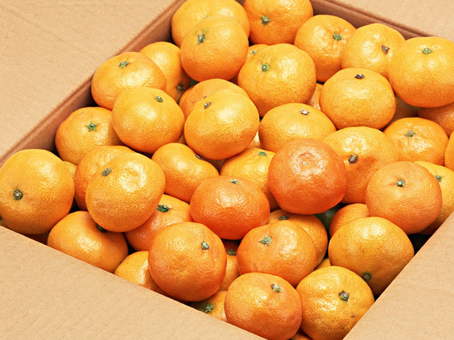 Orange box table top closeup free wallpaper - medium preview image