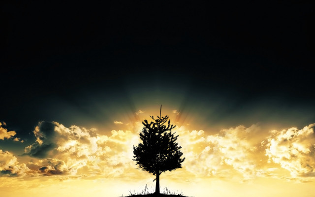 Lone tree hill sunset clouds free wallpaper - medium preview image