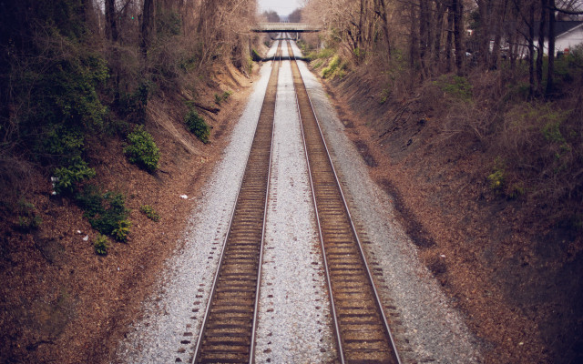 Train crossing wooded area night free wallpaper - medium preview image