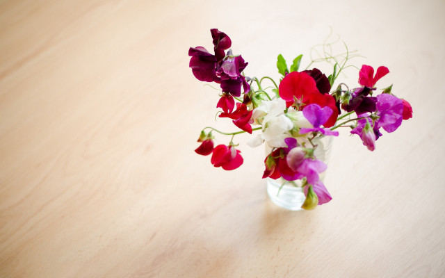 Vase purple white flowers table #2 free wallpaper - medium preview image
