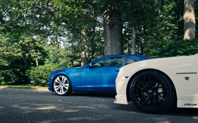 Blue white sports cars forest free wallpaper - medium preview image