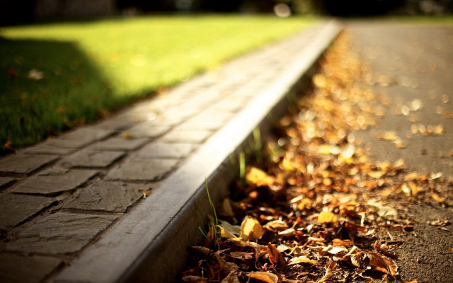 Bench road autumn fire scene free wallpaper - medium preview image