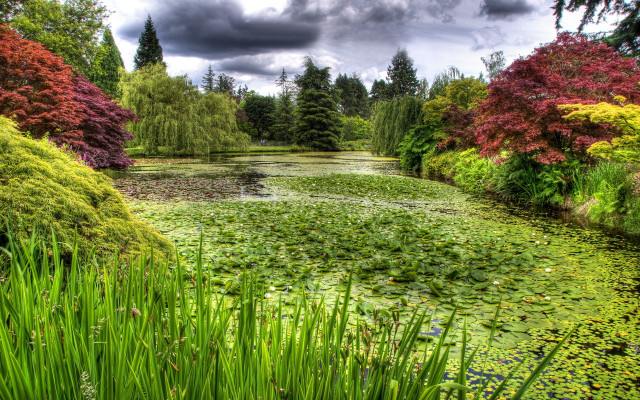 Pond green flowers trees clouds free wallpaper - medium preview image