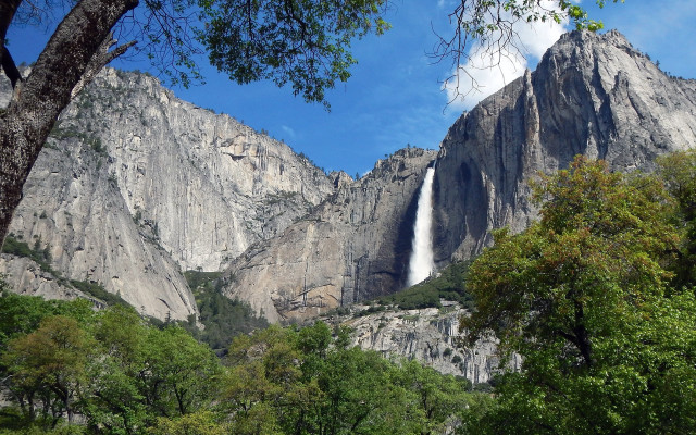 Waterfall mountain view nature bushes free wallpaper - medium preview image