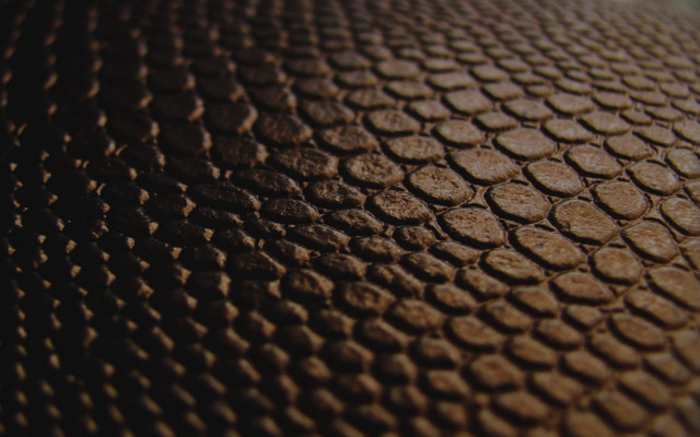 Brown circles texture generative fence free wallpaper - medium preview image