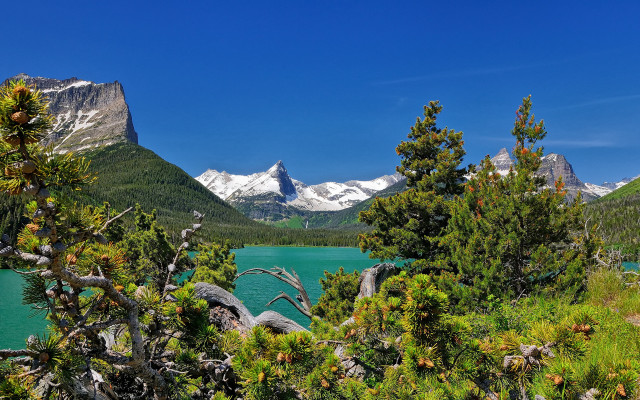 Lake mountains trees sky snow #2 free wallpaper - medium preview image