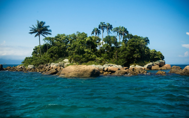 Small island palm trees ocean free wallpaper - medium preview image