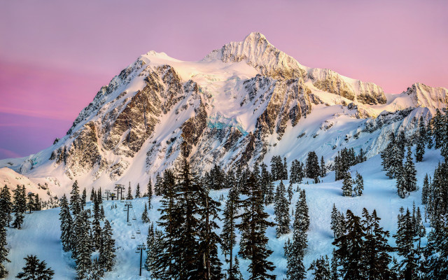 Snowy mountain trees pink sky #3 free wallpaper - medium preview image