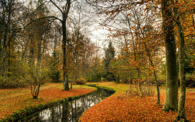 Autumn forest leaves fence bush free wallpaper - medium preview image