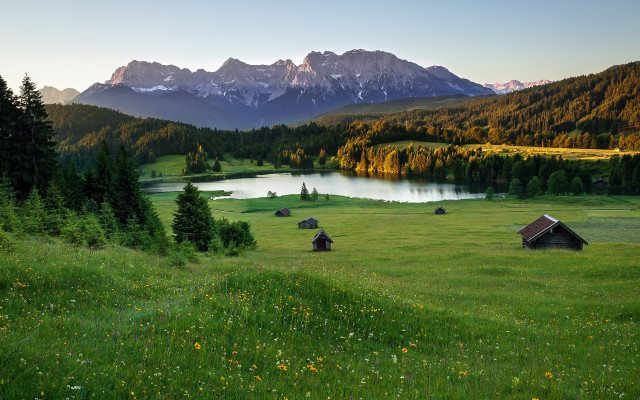 Grassy lake mountains trees flowers free wallpaper - medium preview image