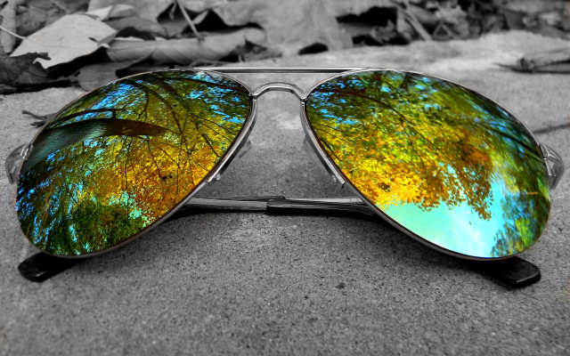 Sunglasses tree reflection ground leaves free wallpaper - medium preview image