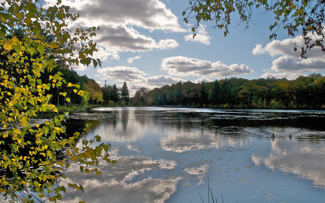 Lake forest clouds ducks sunset free wallpaper - medium preview image