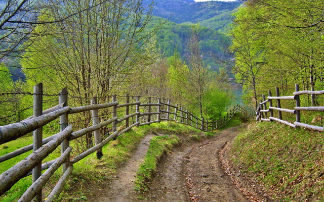 Dirt path wooden fence forest free wallpaper - medium preview image