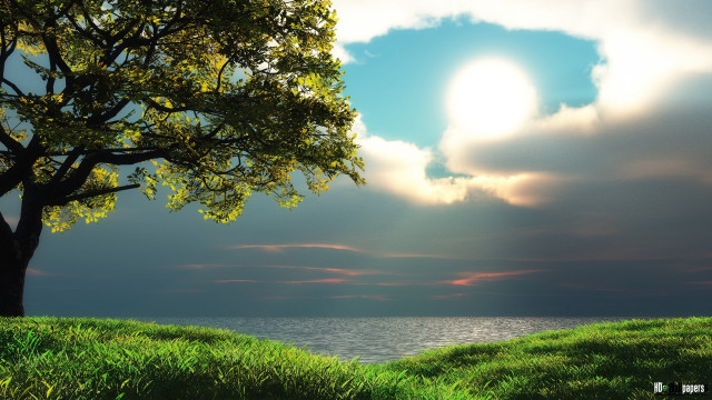 Tree hill lake sun sky #3 free wallpaper - medium preview image