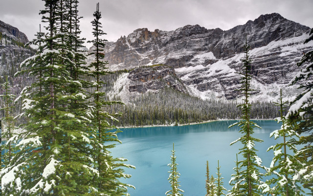 Mountain lake forest snowy sky #4 free wallpaper - medium preview image