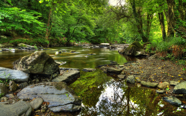 Lush green forest stream rocks #6 free wallpaper - medium preview image