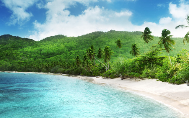 Bascove beach trees water mountain free wallpaper - medium preview image