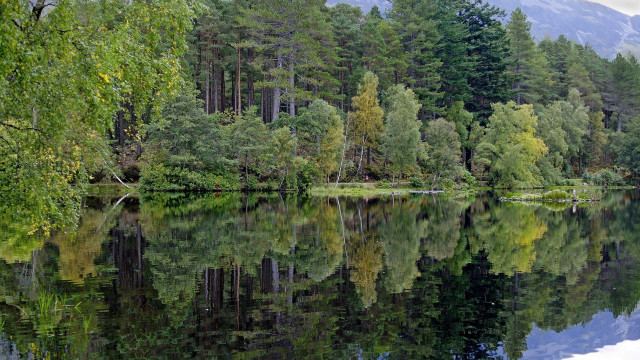 Lake trees mountains reflections sky free wallpaper - medium preview image