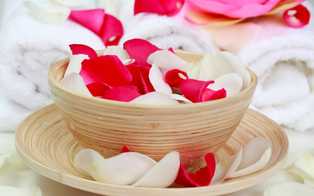 Bowl petals plate table towels free wallpaper - medium preview image